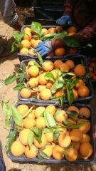 44f85664-3d24-4923-91bf-34400dbf06c3