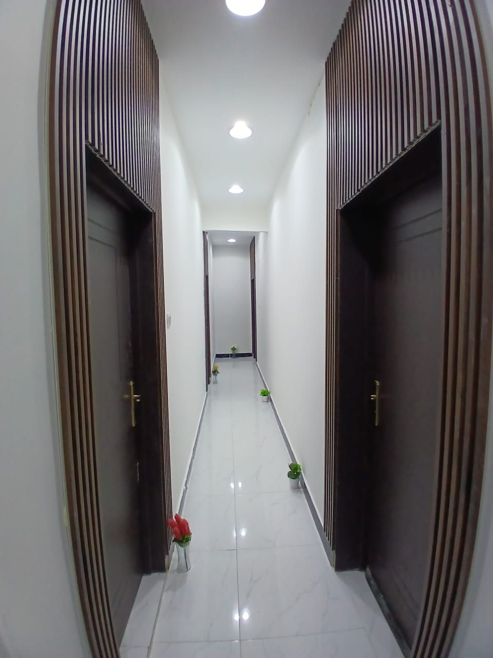 دهان مباني داخلي وخارجي ممتاز جدا