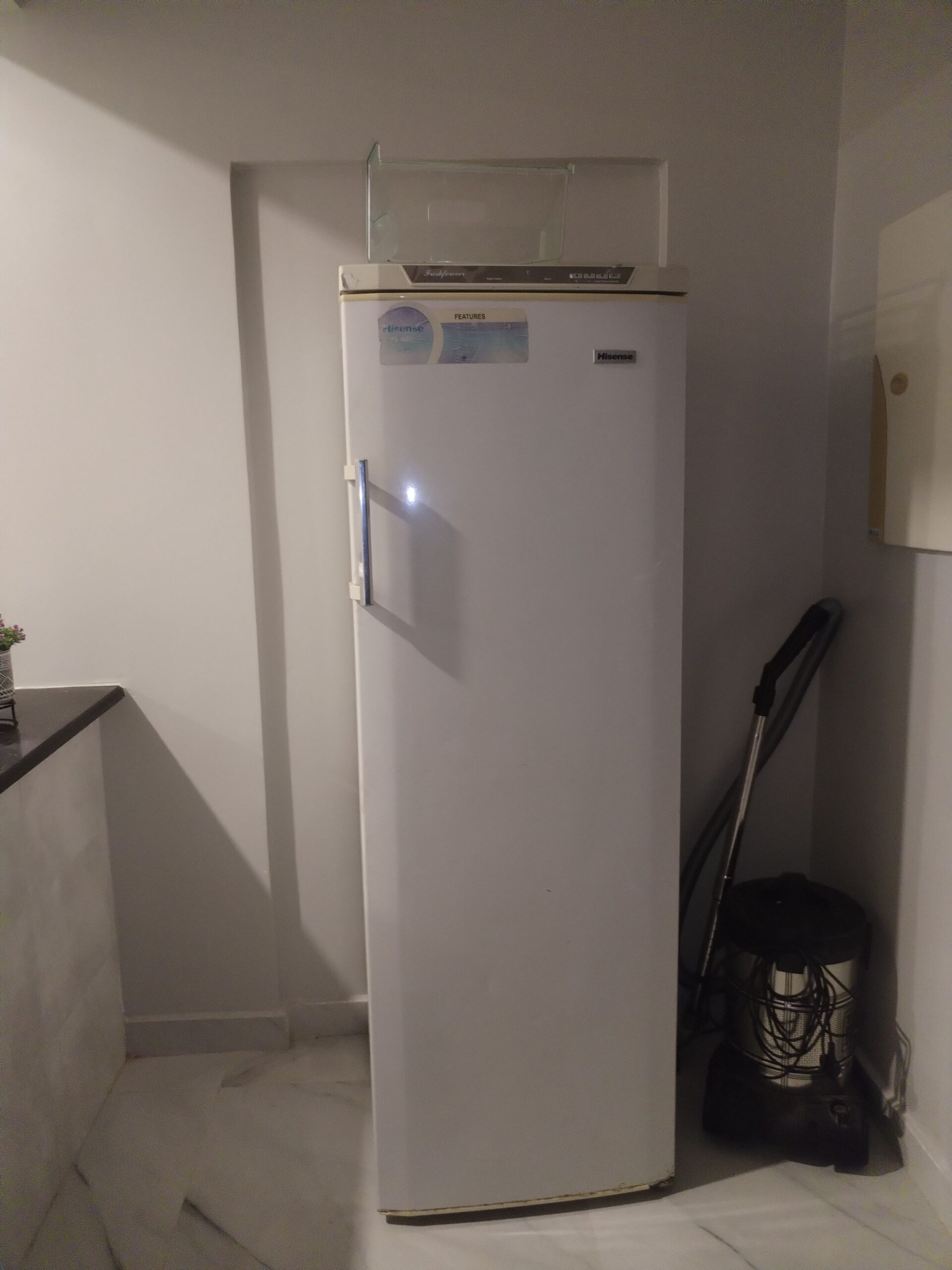 المدينه المنوره