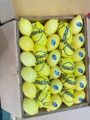 7081bf41-2633-4e17-8902-c69fa9fc1486