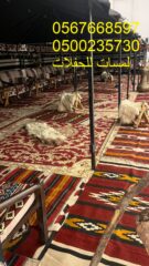 WhatsApp-Image-2024-08-09-at-6.57.39-PM-1