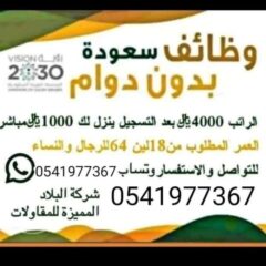 d78303d2-1b54-461a-a25c-c883aa6b9e53