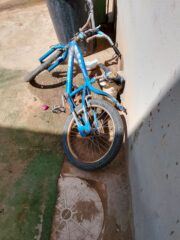 03a36697-c696-4870-b23e-57476d36bf81