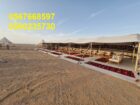 تأجير مظلات ,جلسات ,مكيفات ,,طاولات