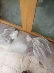 0d89fdf5-f7e6-40cf-b6a0-fbd21e05c383