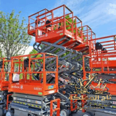 50316886-b0c5-4cb0-b663-72b7941a3ee5-1