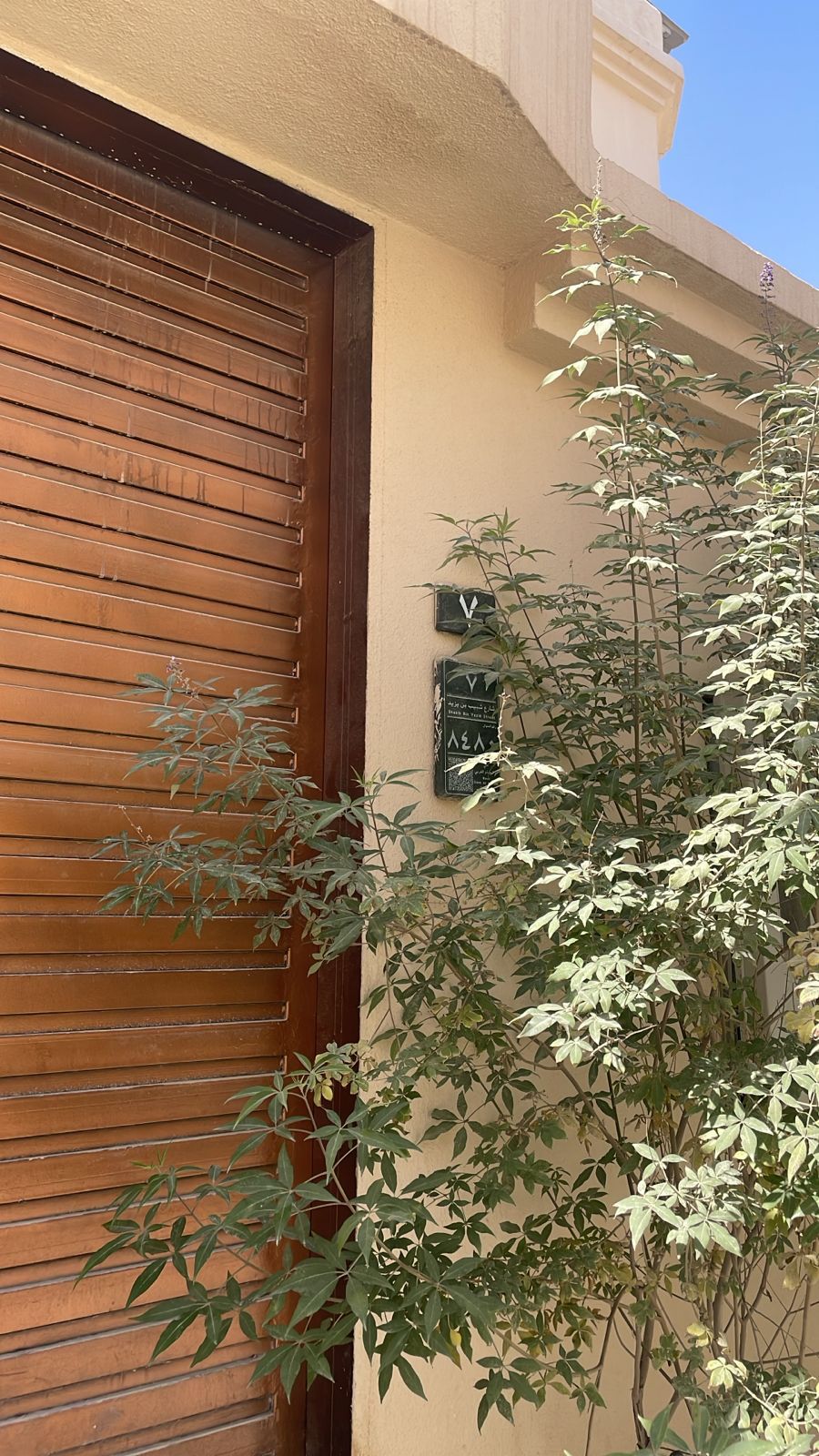 النرجس الرياض