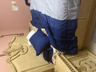 799D24CA-206A-4E73-BD89-C7836ED6289F