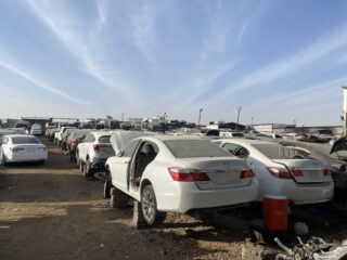 8D8911EC-8188-40D1-BF45-0981B28C3F1D