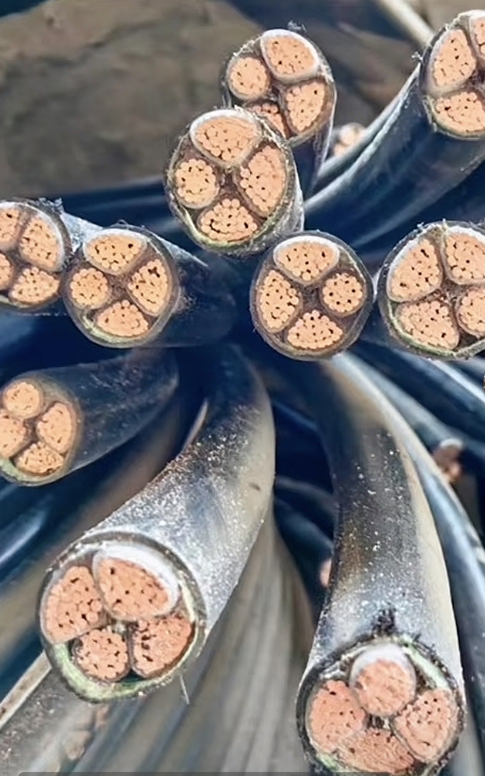 بسم الله الرحمن الرحيم السلام عليكم انا نشتري سكرا