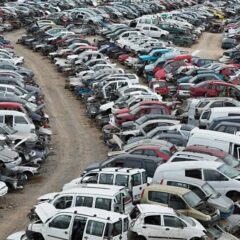 c01df6d8-13d8-454f-8b75-a577ceeb65b8