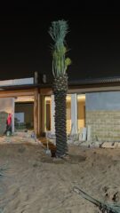 cf25efd5-313e-41b1-b325-2361737803f0