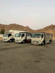 0a390297-79cf-4788-a185-45270ae0c88d