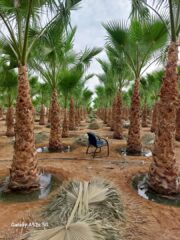 157BC2E5-221F-4809-B472-FA98DDC85412