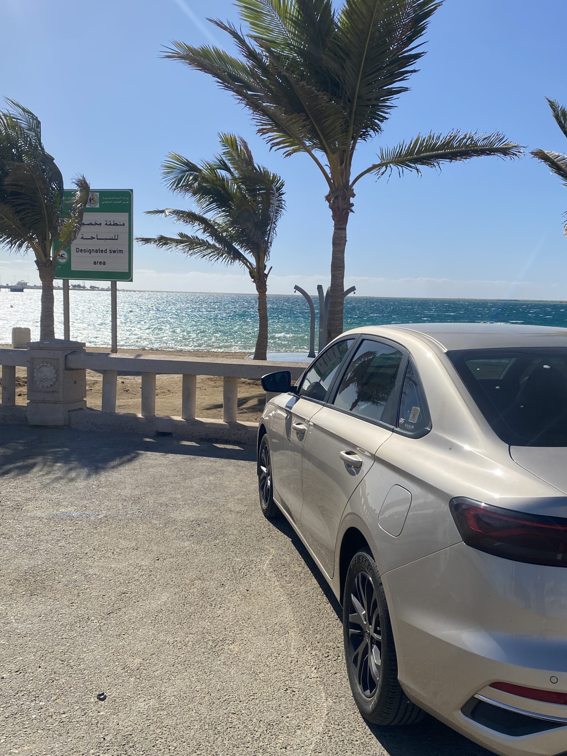 المدينه المنوره