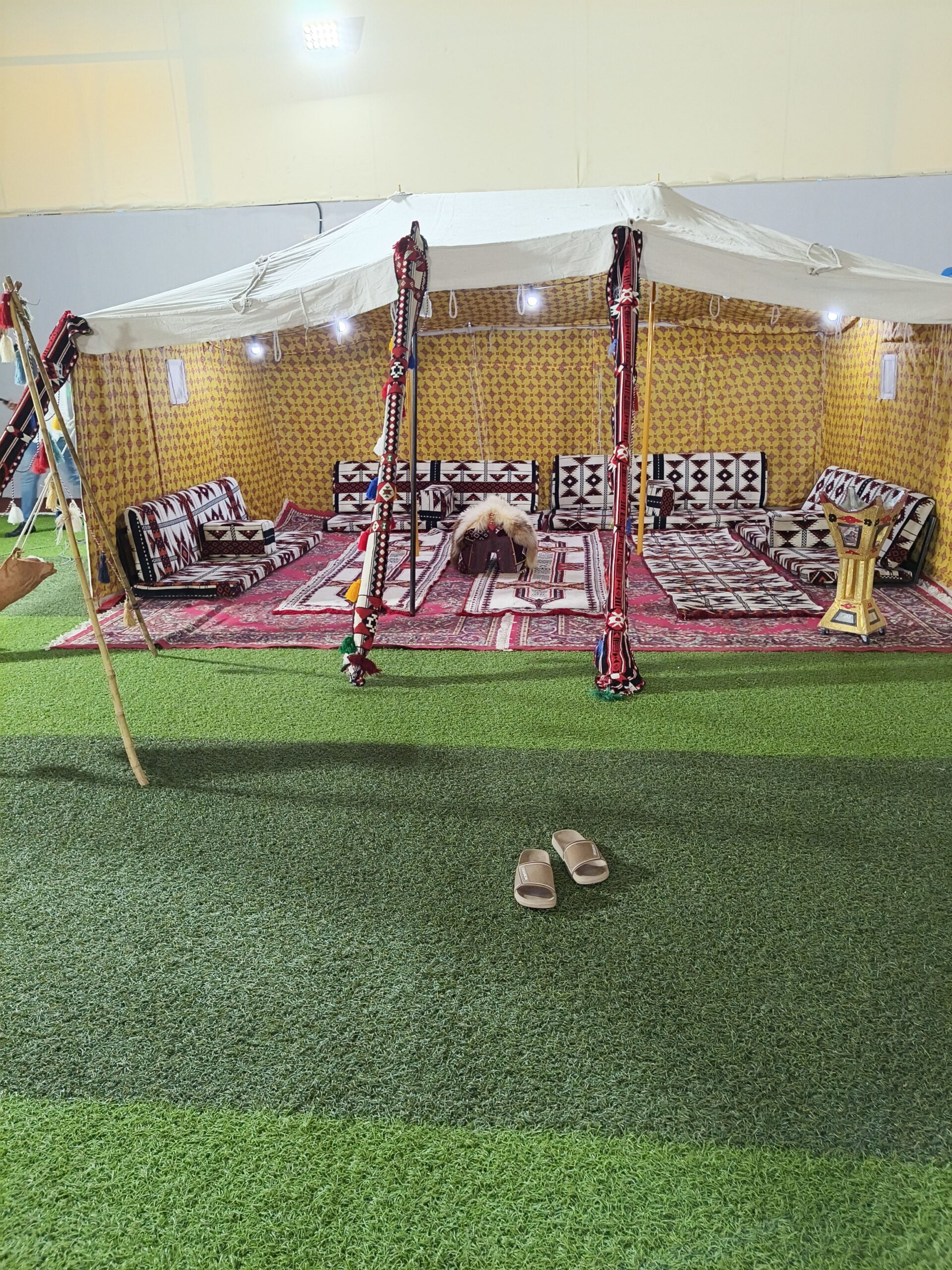 شارك ابو الاسود الدولي