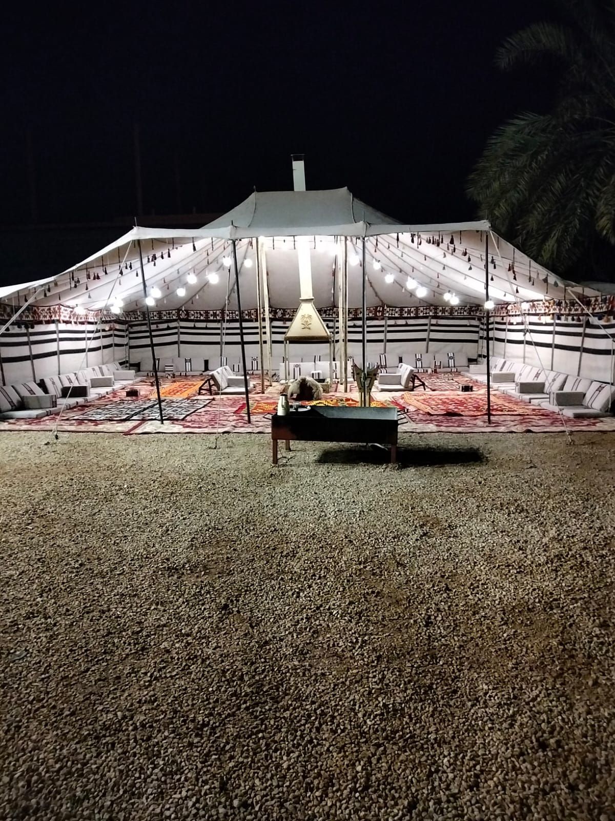 شارك ابو الاسود الدولي