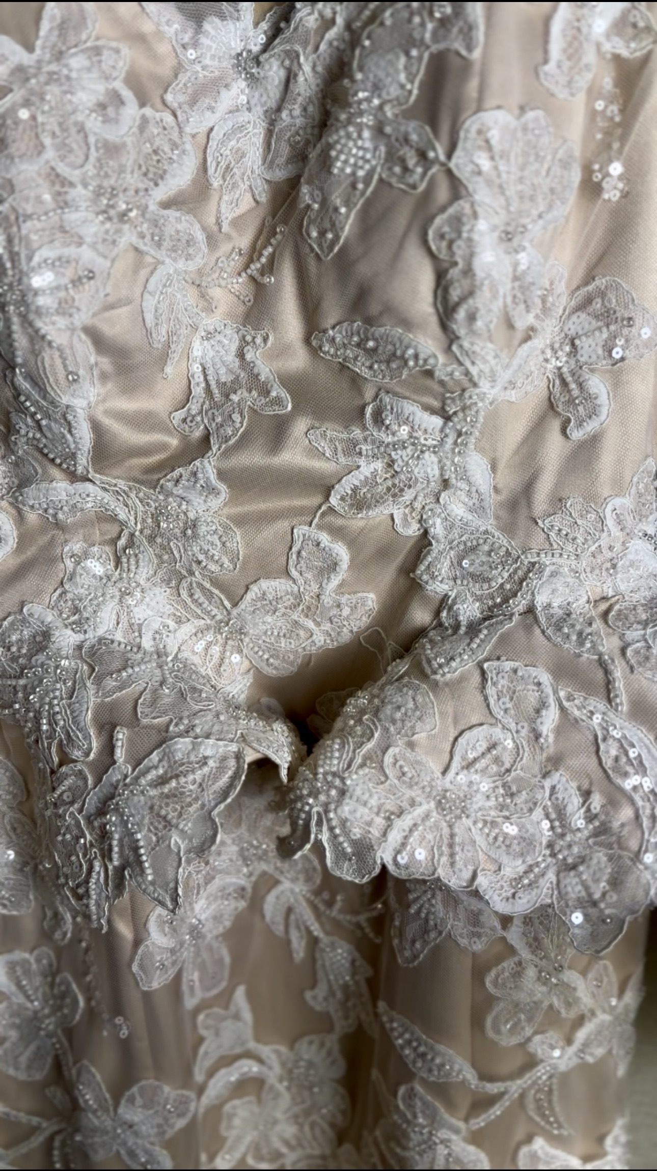 جدة والشحن لأي منطقة