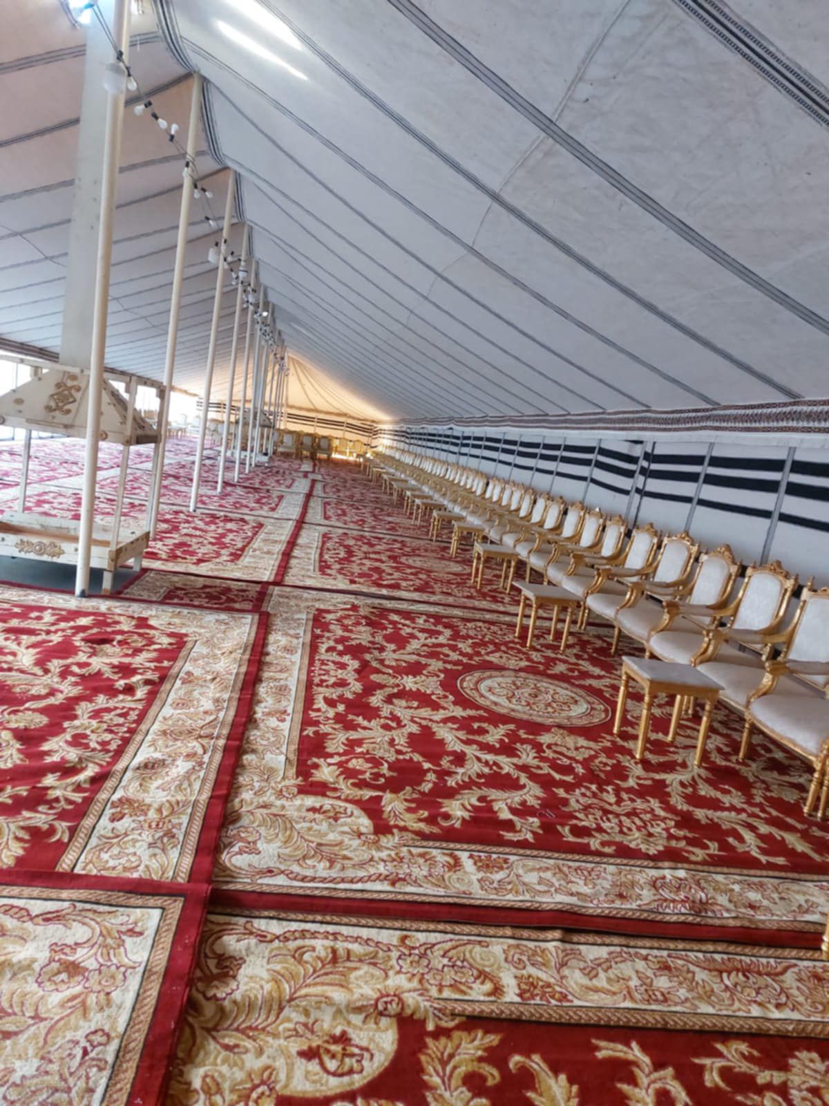 شارك ابو الاسود الدولي