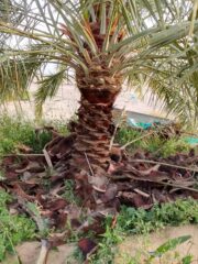 680d7850-8746-4322-aa97-02ea94e9ad45