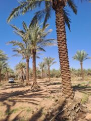 8bb4f5e9-7c97-4f6d-96bb-595967053fe3