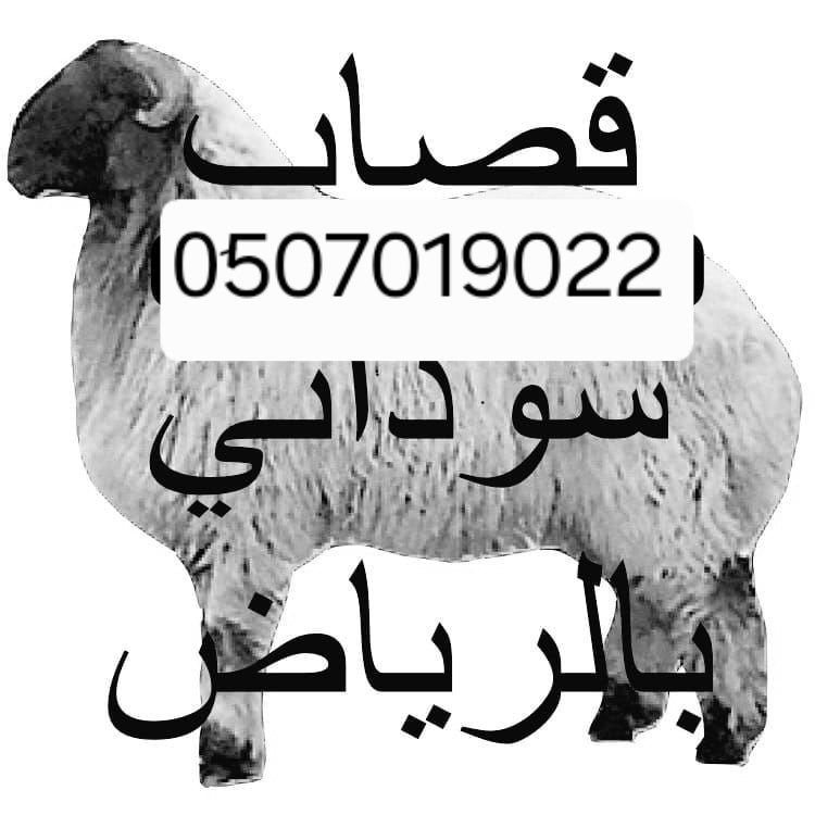 قصاب قصاب بالرياض شمال الرياض 0َ507019022 قصاب بال