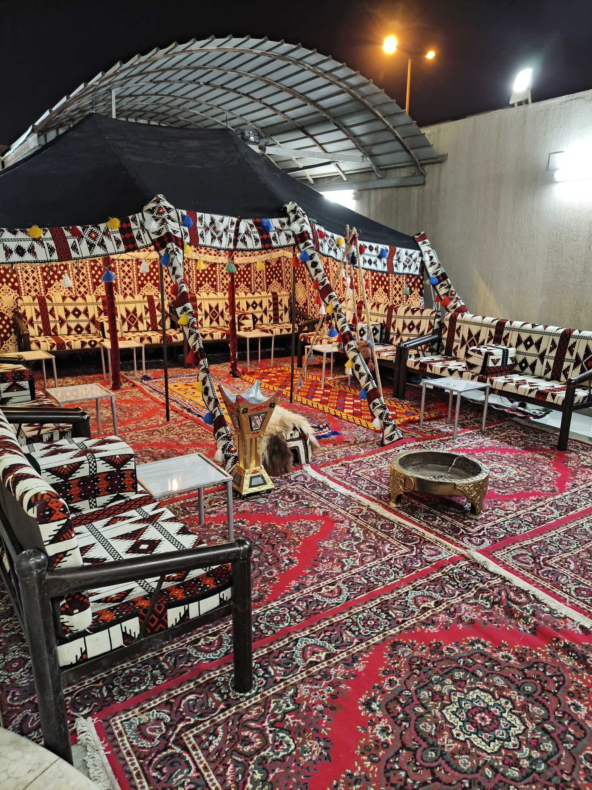 شارك ابو الاسود الدولي