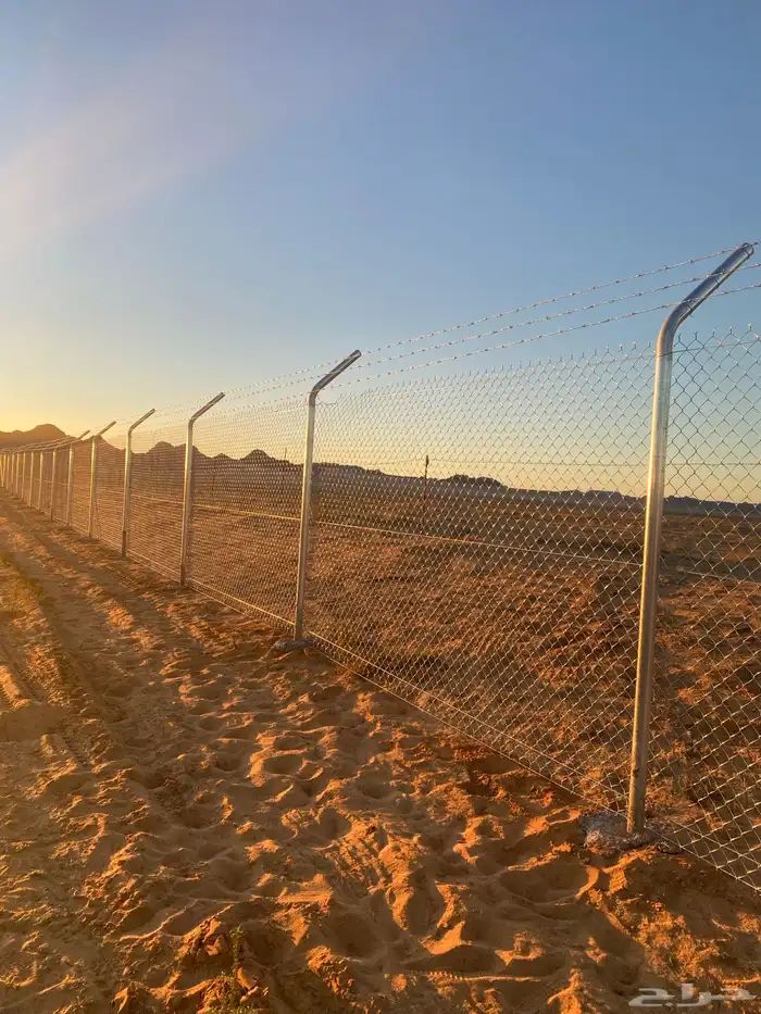 الرياض