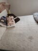 Dubble bed and mattress