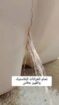 الأحساء