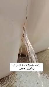الأحساء