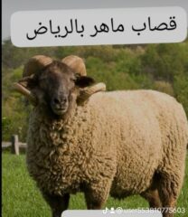 7bbadc4a-bf0a-48ab-94ed-f27431b81860