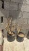 مكه