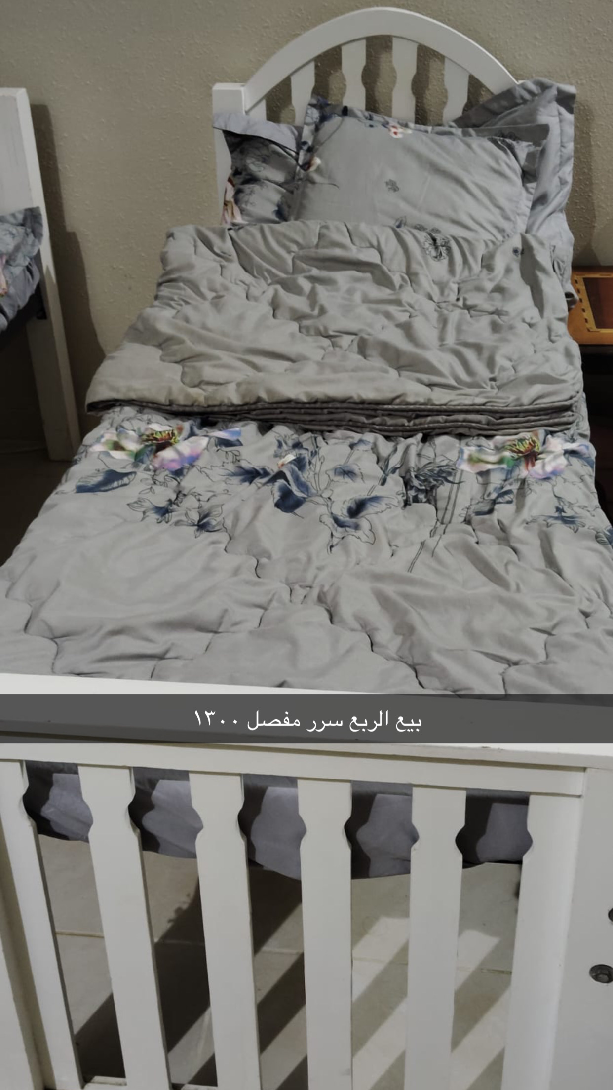 جيزان /ابو عريش