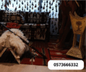 جلسات شعبية,ركنيات تراثية,خيام اوربية, تاجير خيمه,