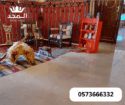 ركنيات تراثية,جلسات خارجية خيام اوروبية, تأجير طاو