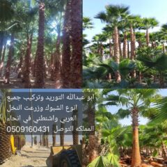 5efe64f9-3c91-4ec9-88ae-7e6b82c66a7c