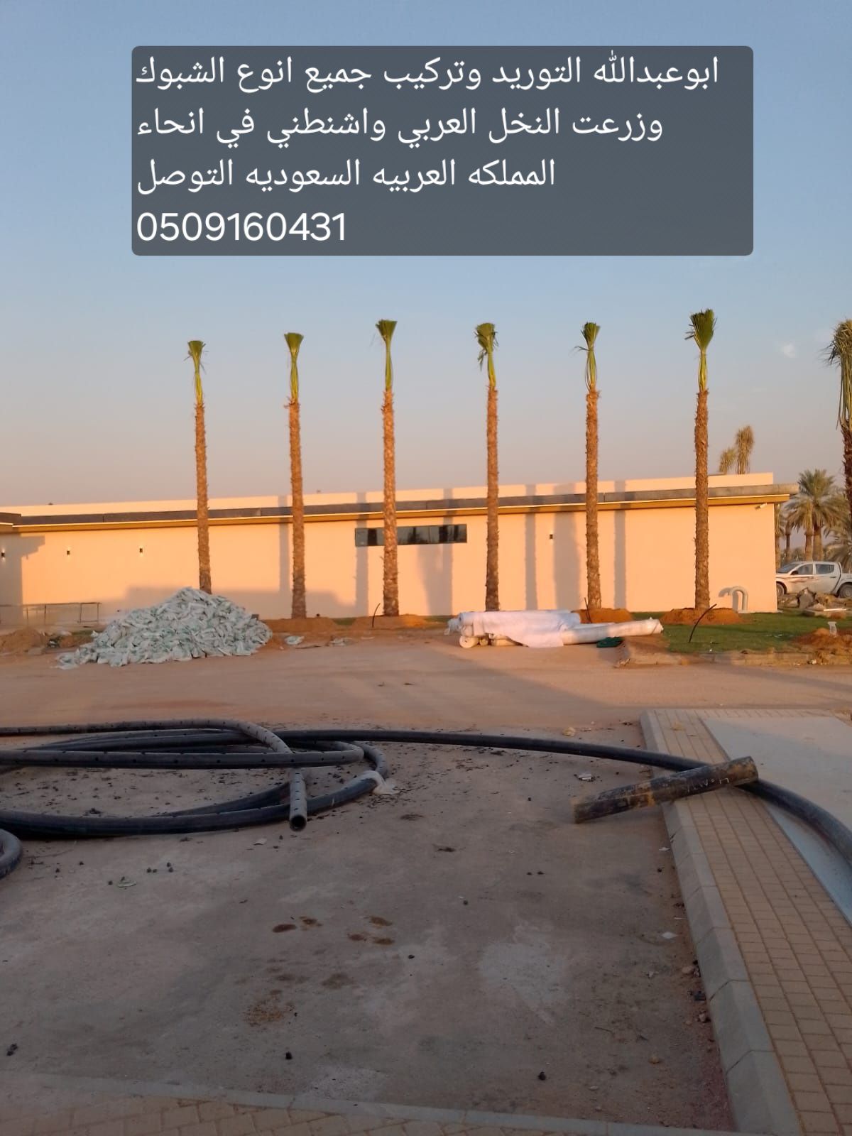 الرياض