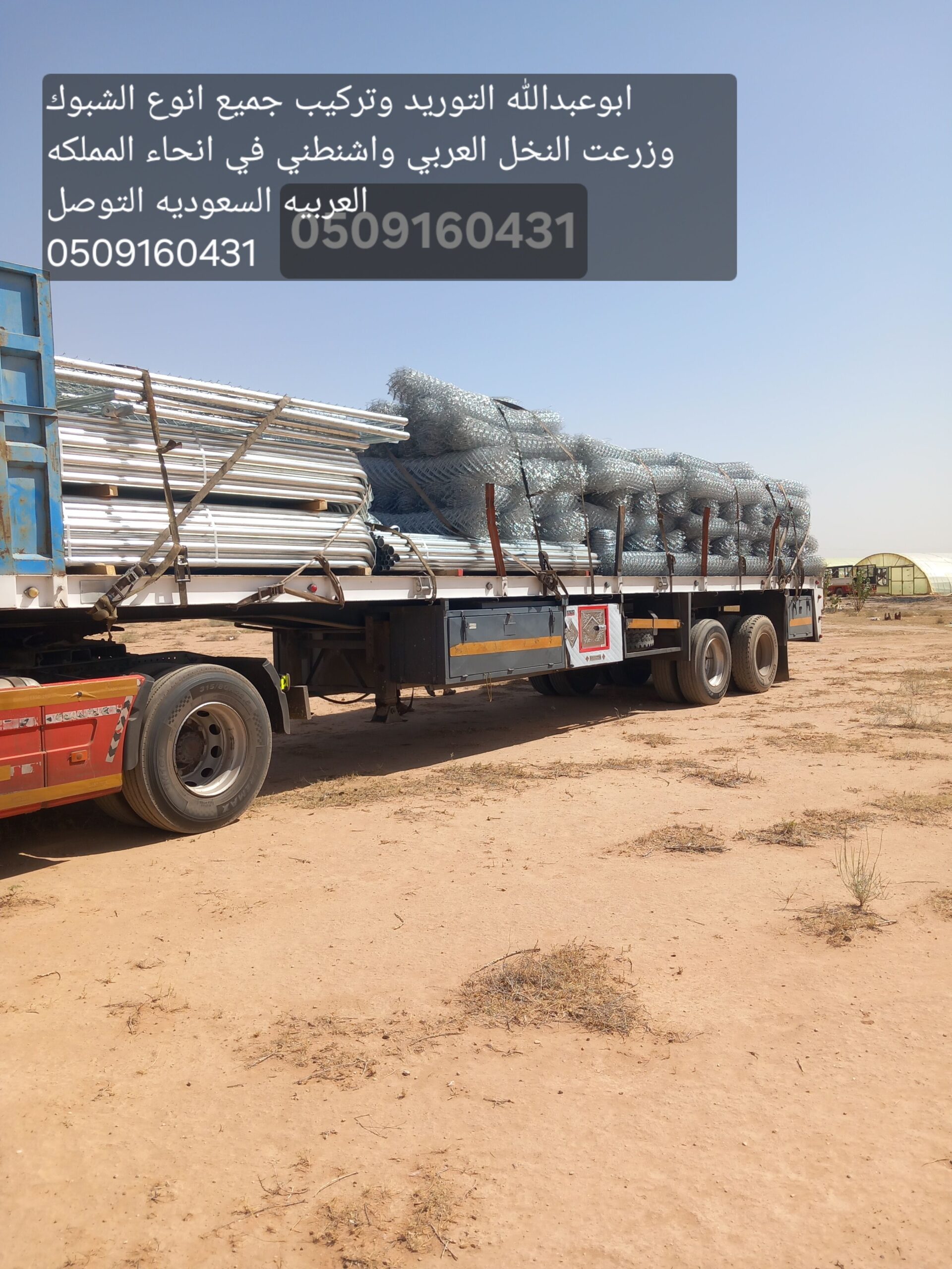 الرياض