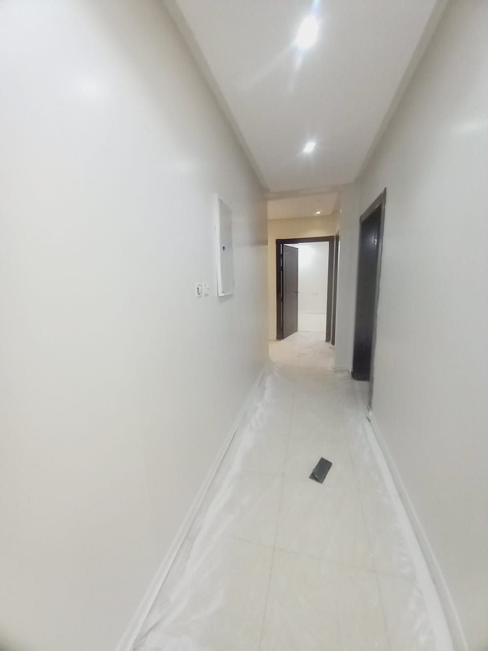 الرياض