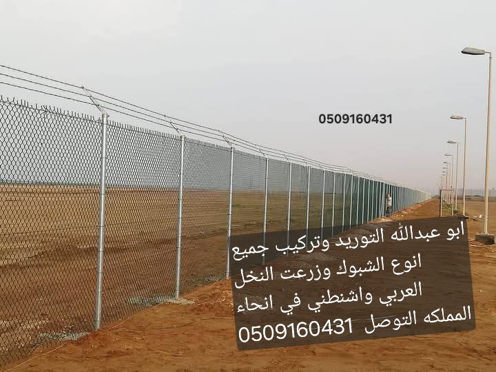 الرياض