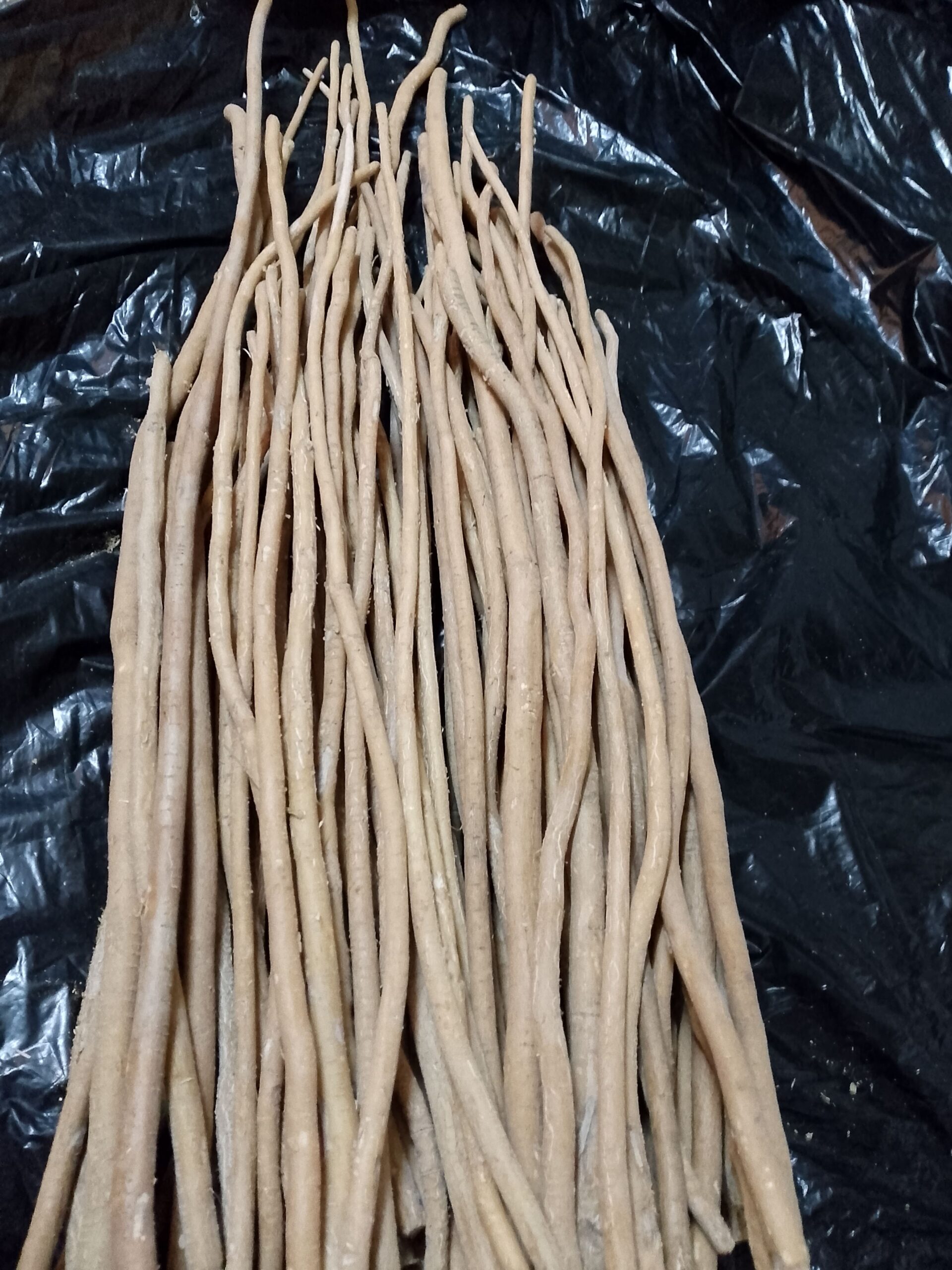 جده البلد مقبرت امناء حواء