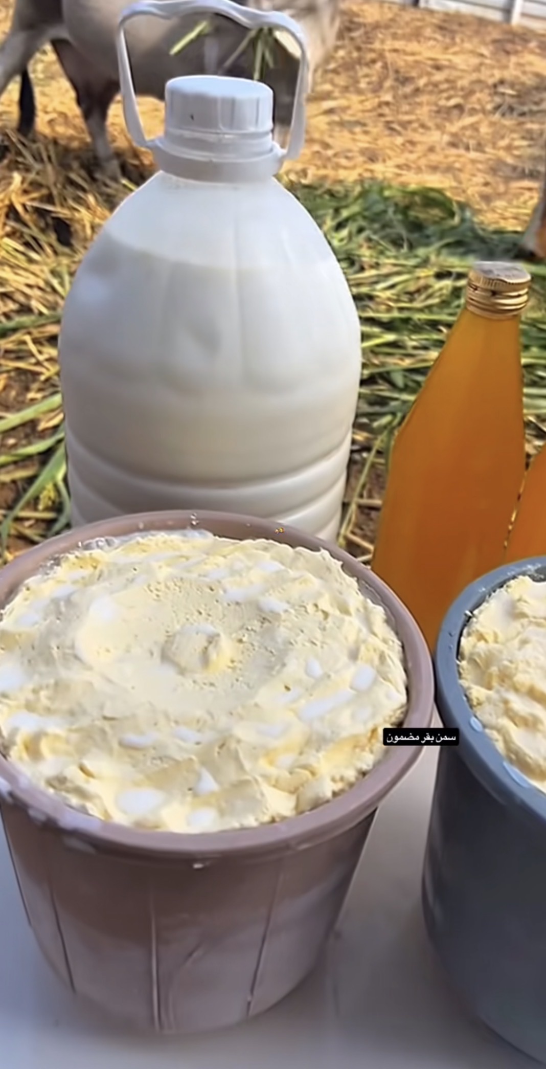 سمن بلدي طازج