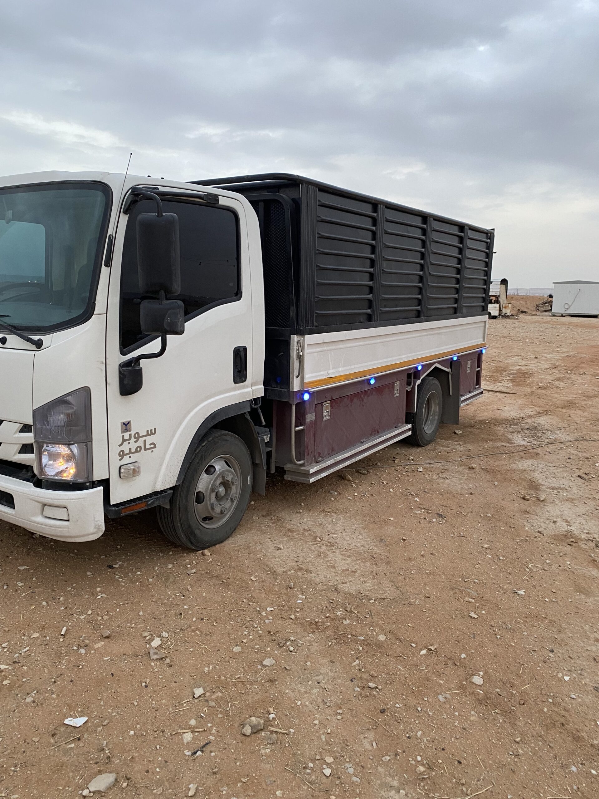 الرياض
