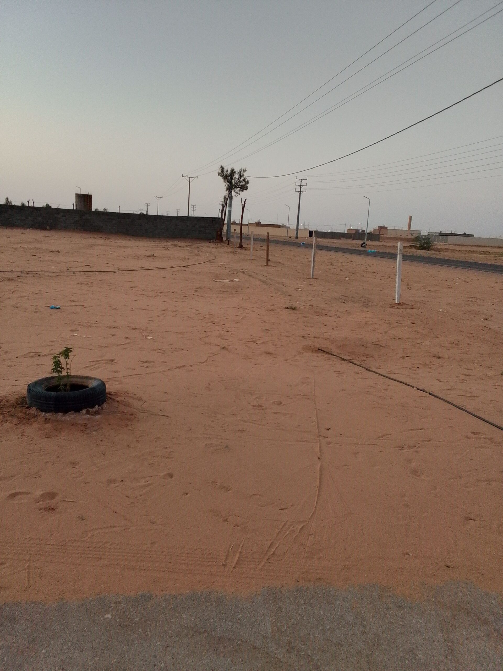 الجله