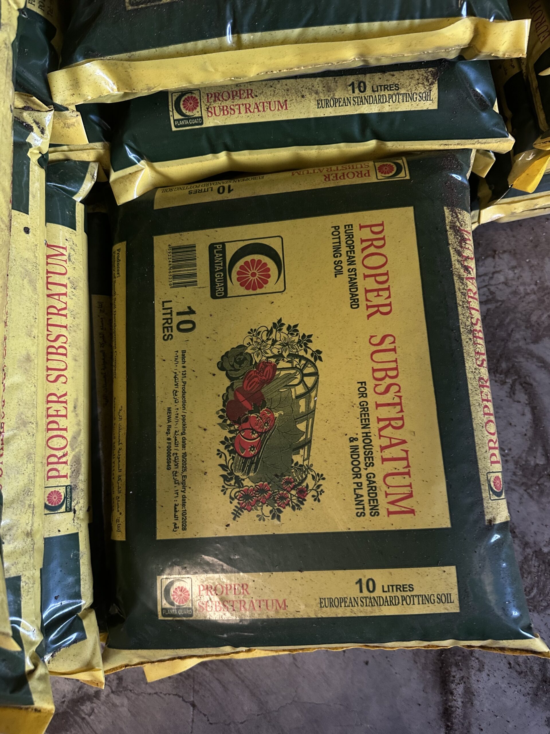 الرياض