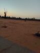 الجله