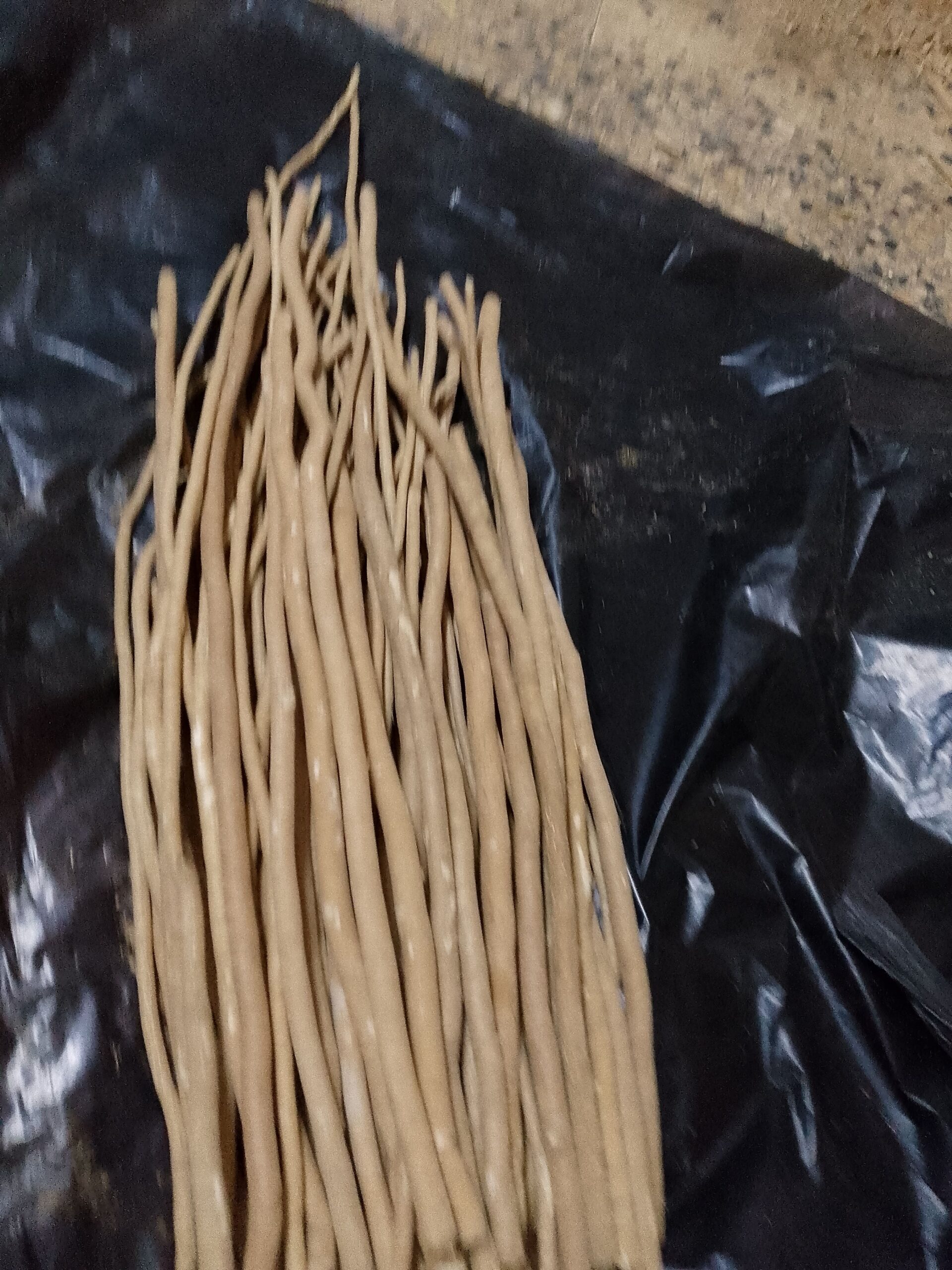 جده البلد مقبرت امناء حواء