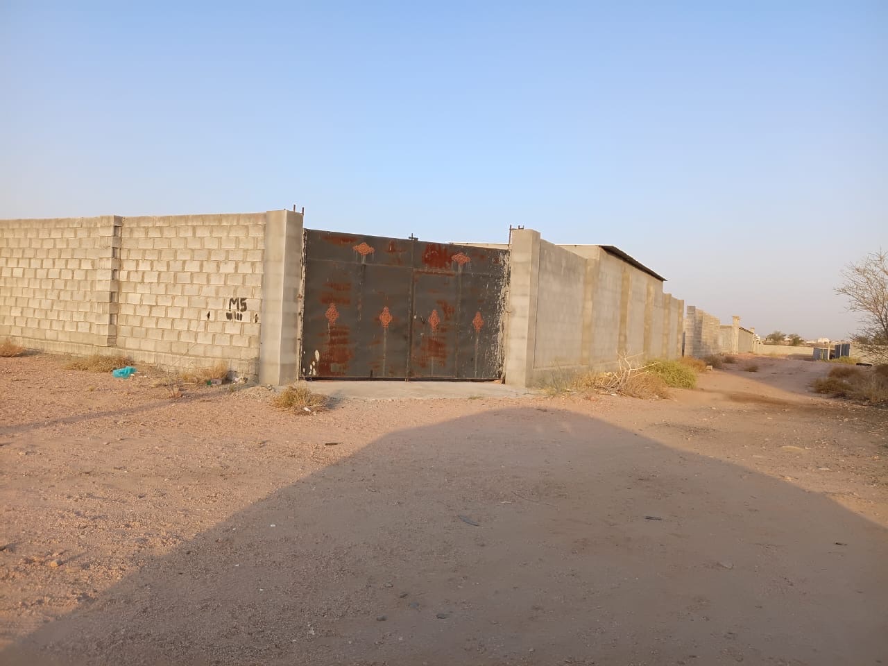 الواصليه