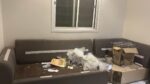 دينا طش الاثاث القديم بالرياض حي السويدي 053721948